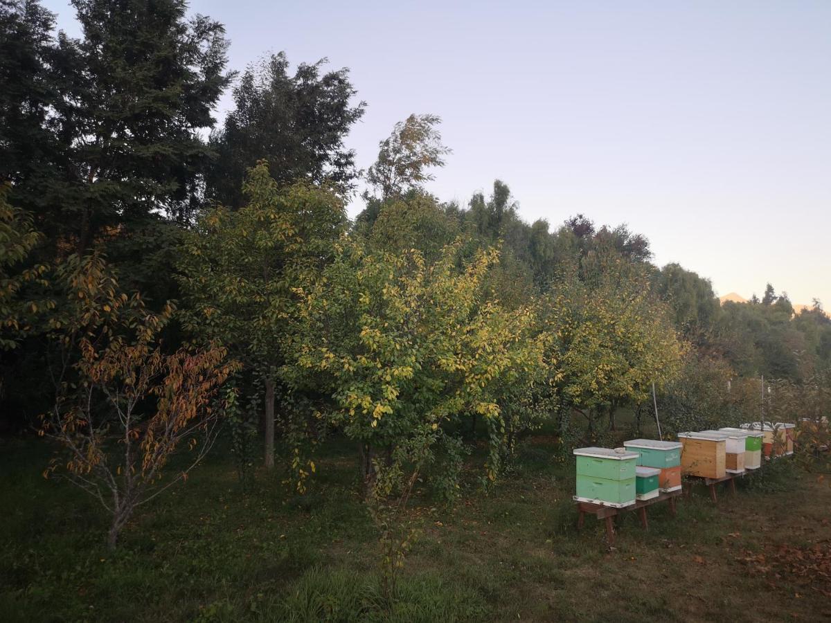 Cabana Jacaranda Salamanca Zewnętrze zdjęcie