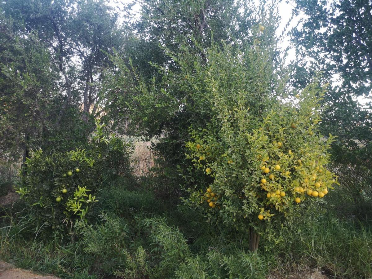 Cabana Jacaranda Salamanca Zewnętrze zdjęcie